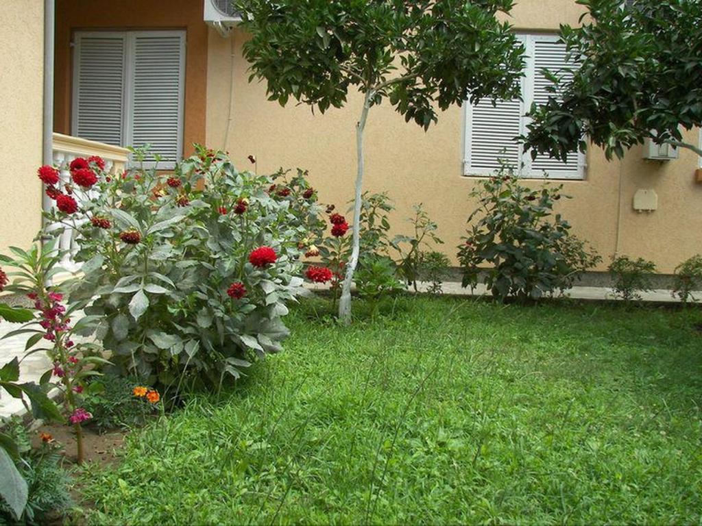 Apartments Dalila Ülgün Oda fotoğraf
